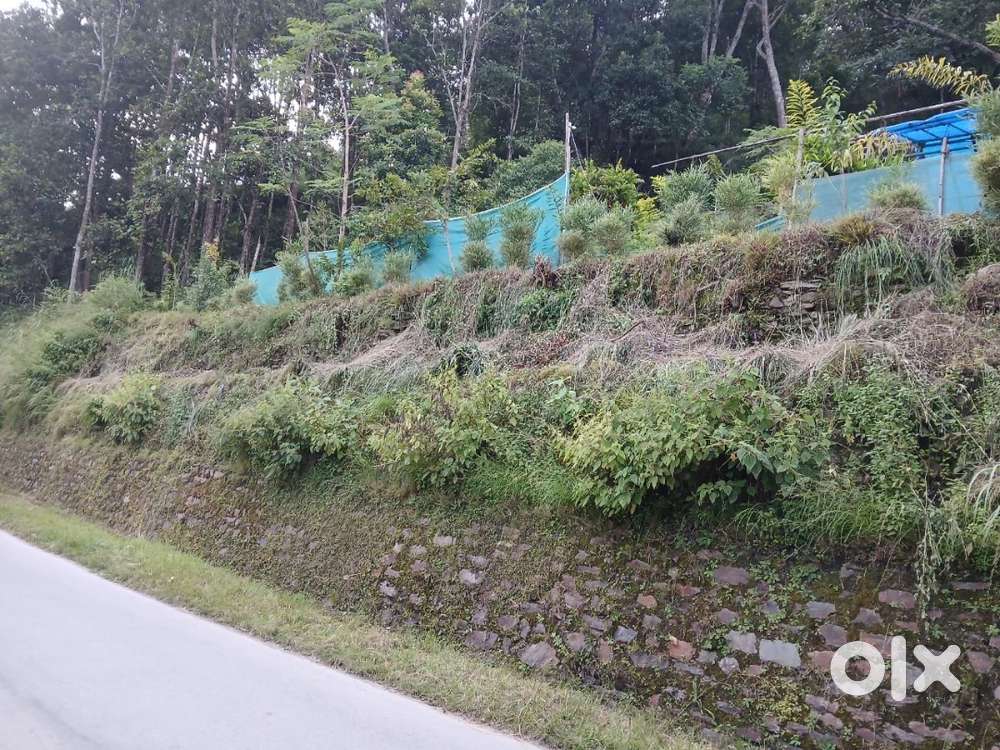 Sikkim land for sale