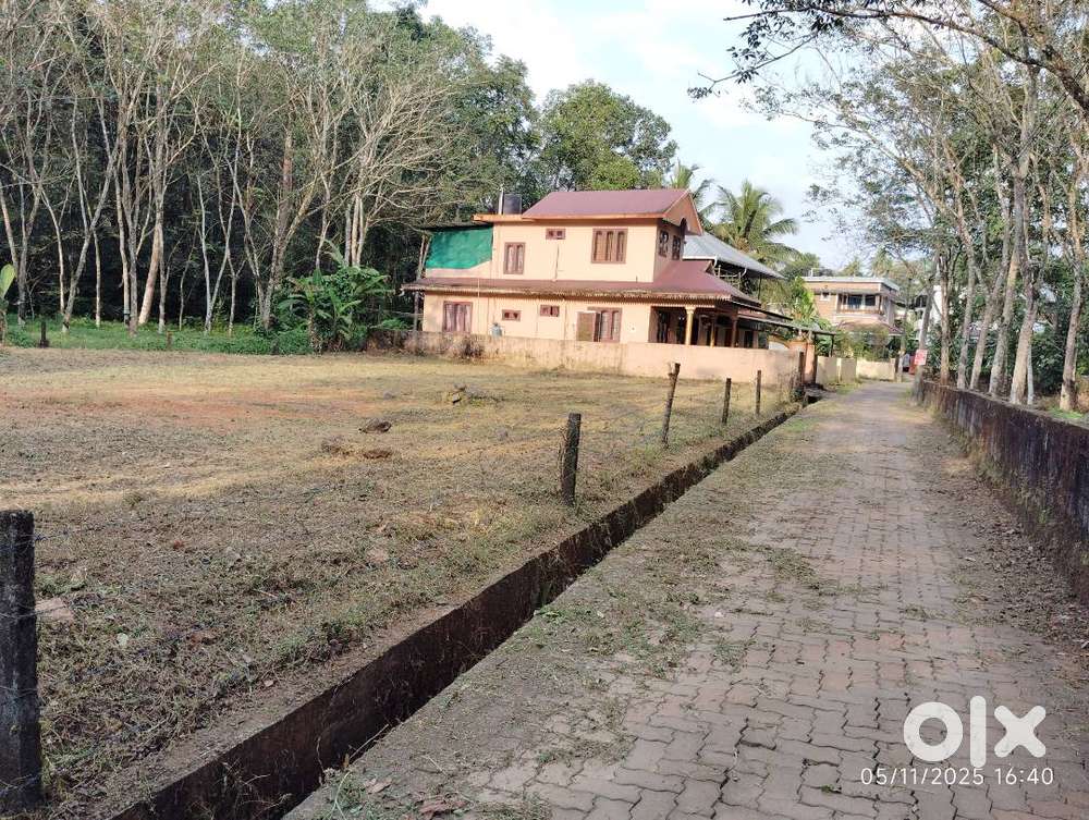 Suitable for Building construction. Purayitam.