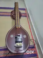 Radel Electronic Veena, less than a year old