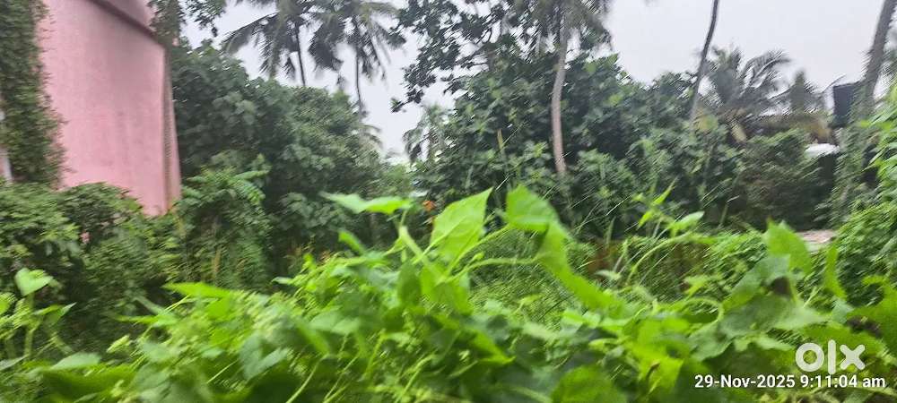 7.5 cents square plot for sale at Valiathura