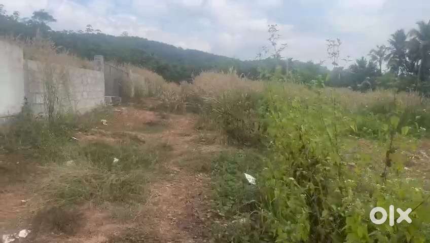 5 cent land vembayam