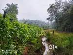 3-Acre Plot for Sale in Alattil Perya Wayanad only 60 Lakhs
