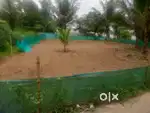 10 cent land for sale at plakeezhu