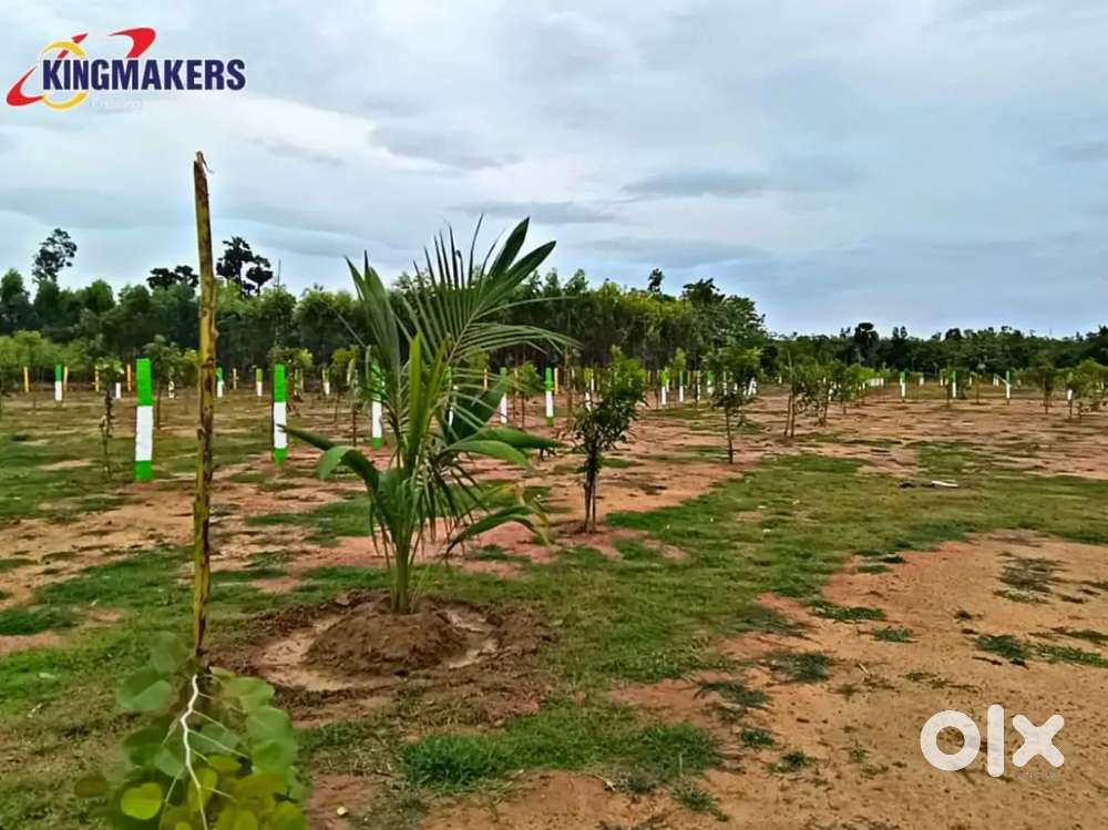 Best investment property