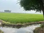 On road property
