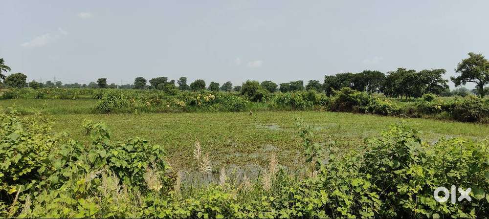 5.84Acer Farm Land nearby Kumhari Urla Village (Kukda)