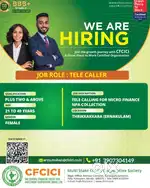 Customer relationship executive
