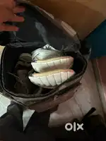 cricket kit