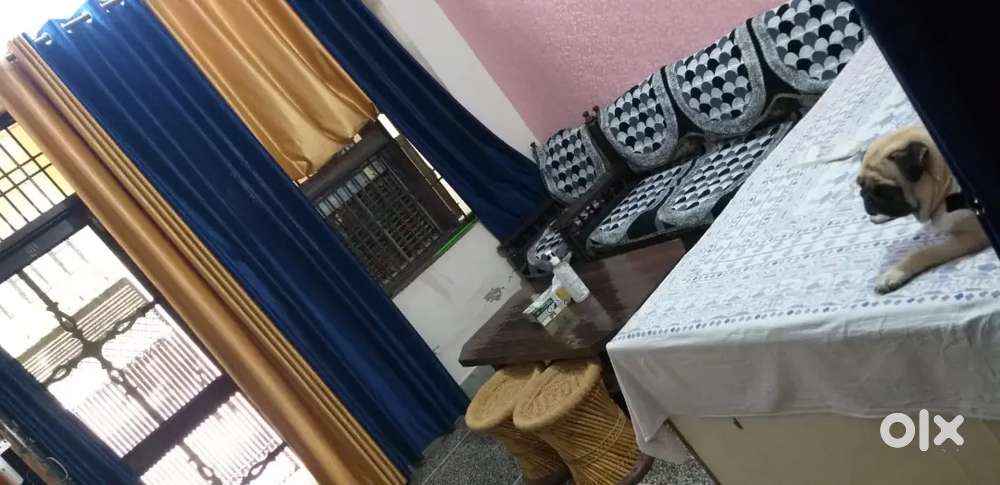 Housing board Sec -4 Rohtak