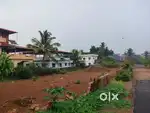 20 cents land