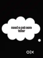 I Need a good person who can take care my home and take care my dogs