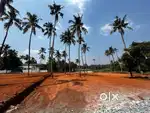 MAIN ROAD 8 cent തൃശ്ശൂർ ഇരിഞ്ഞാലക്കുട.