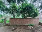 Land for sale 12 lakh katha