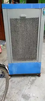 Coller in good condition