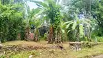 3 cent land for sale