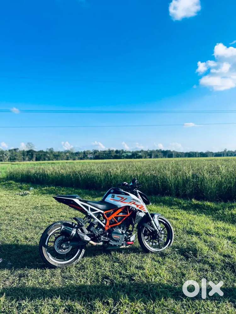 Genuine Buyer only Dm