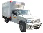 LMV Driver for light container vehicle.