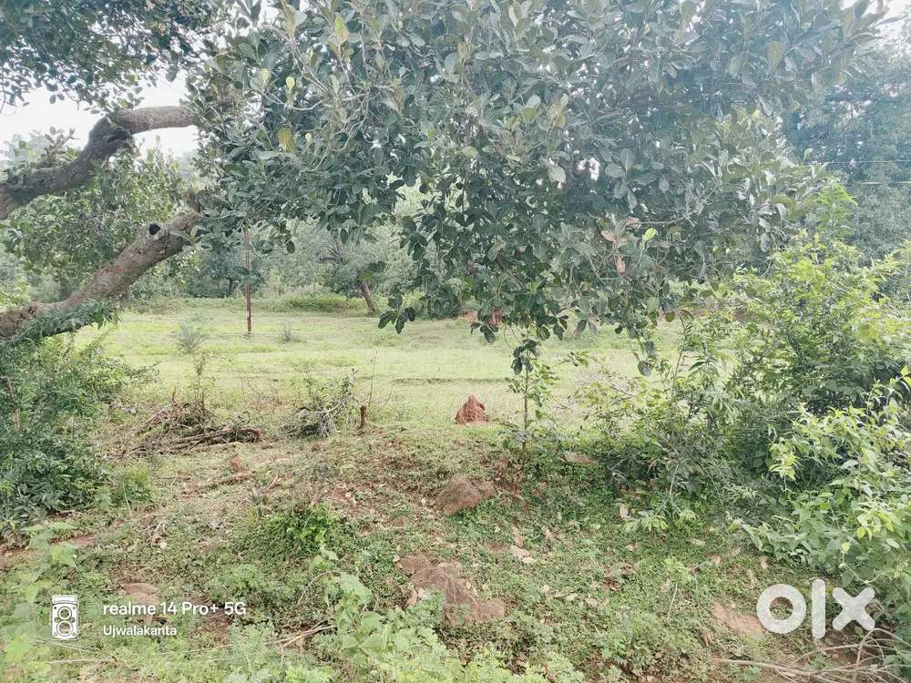 17.5 cent plot for sale