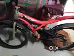 New candican