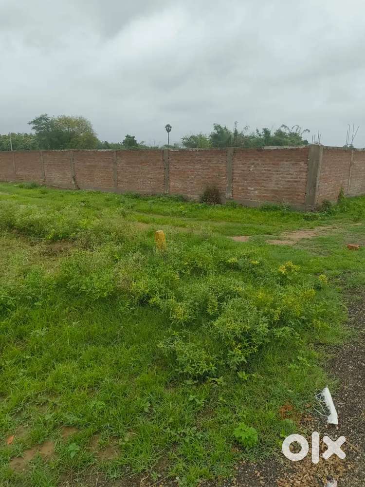 IIT college se 6km aage hai पतूत jagah k paas hai