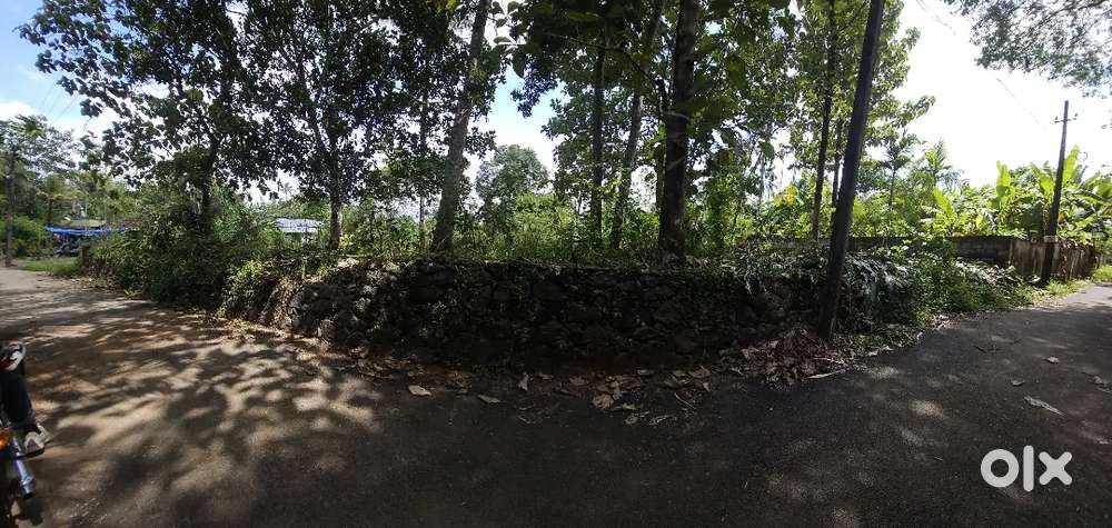 27 cent plot for sale kodakara. 50 meter from main road.