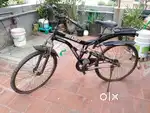 Roadeo cycle