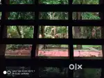 House and Plot for Sale – 62 Cents near Parumala