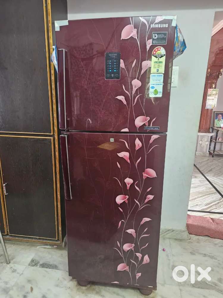 Samsung 309L double door fridge