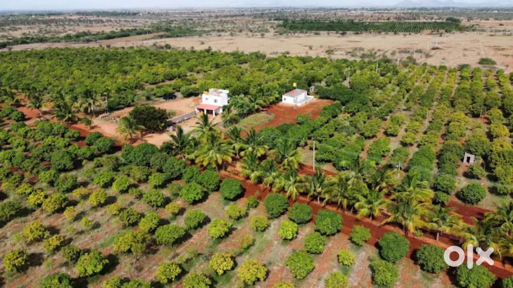 Vishwas Sandalwood farms