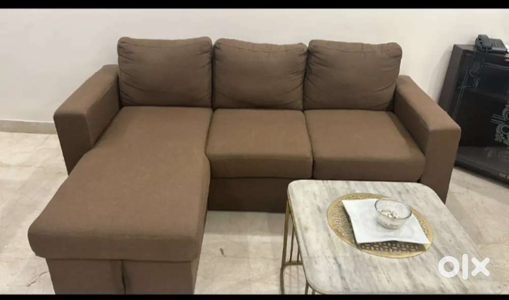 Sofa Cum Bed