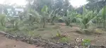 1.5 km from Adoor Govt Eng college, Manakala-Manjali busroute roadside