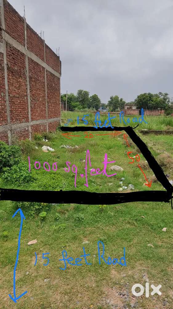 Mahayogi university, Balapar gorakhpur