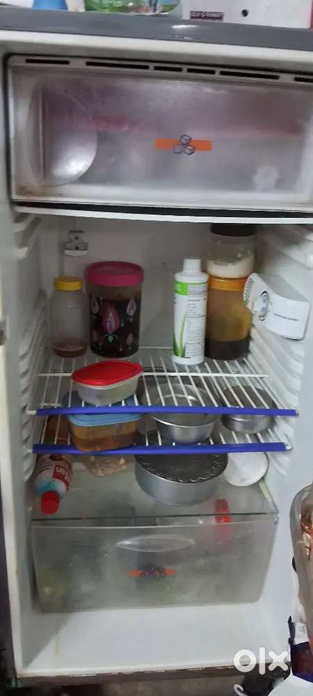 Single Door freeze