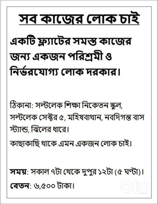 একটি ফ্ল্যাটের সমস্ত কাজের জন্য একজন পরিশ্রমী ও নির্ভরযোগ্য লোক দরকার