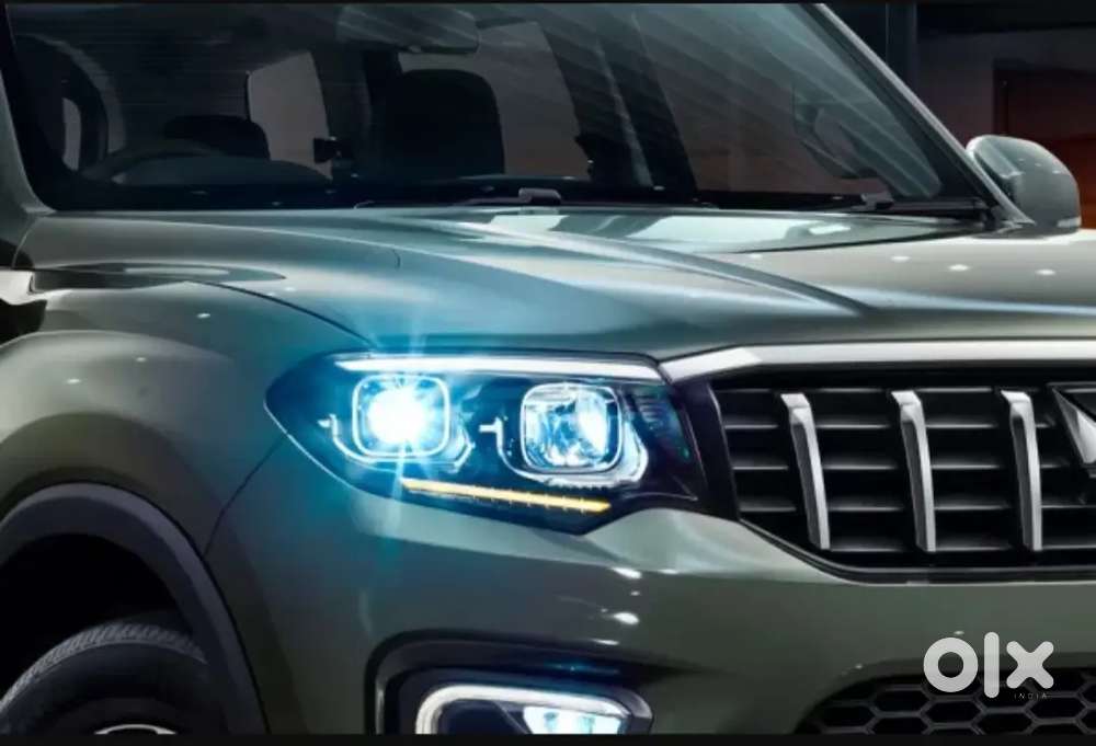 urgent needed a driver job and available electraction and plumber