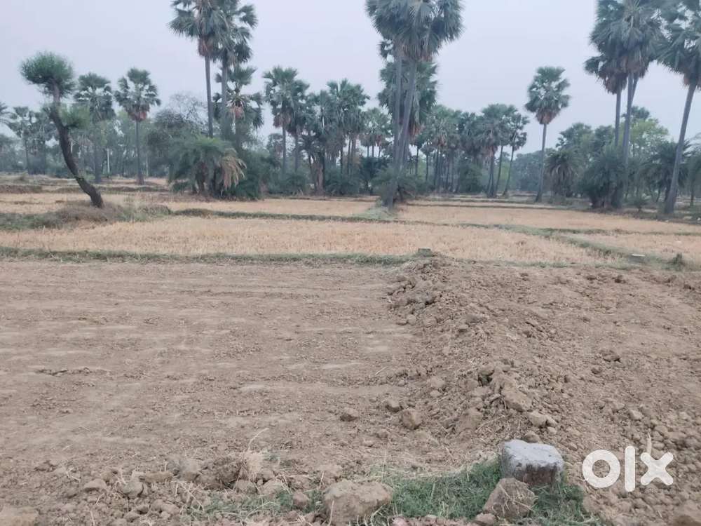 Find your dream plot with us