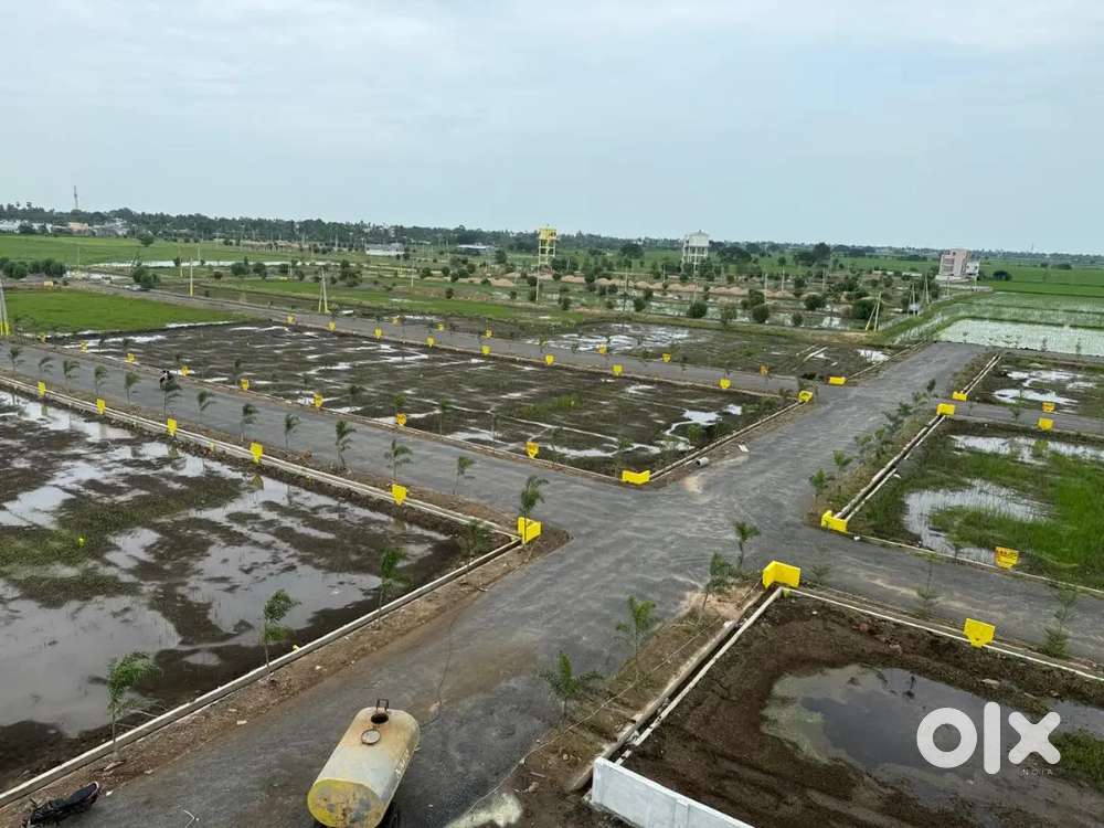 Direct Marketing For Boys And Girls Age Limit 18 to 36 Below