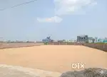 16000 sqft for Rent/Lease (Jagatpur)