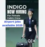 Vacancy open in indigo Airlines urgent hiring apply