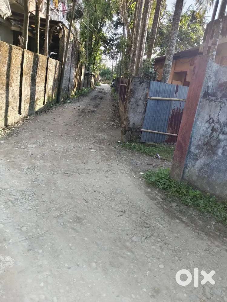 2katha miadi patta land and house sell for tipam road gaon bura path