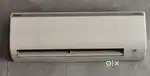 Ac split d daikon