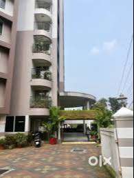 NRI Return for Accounting / Admin Job