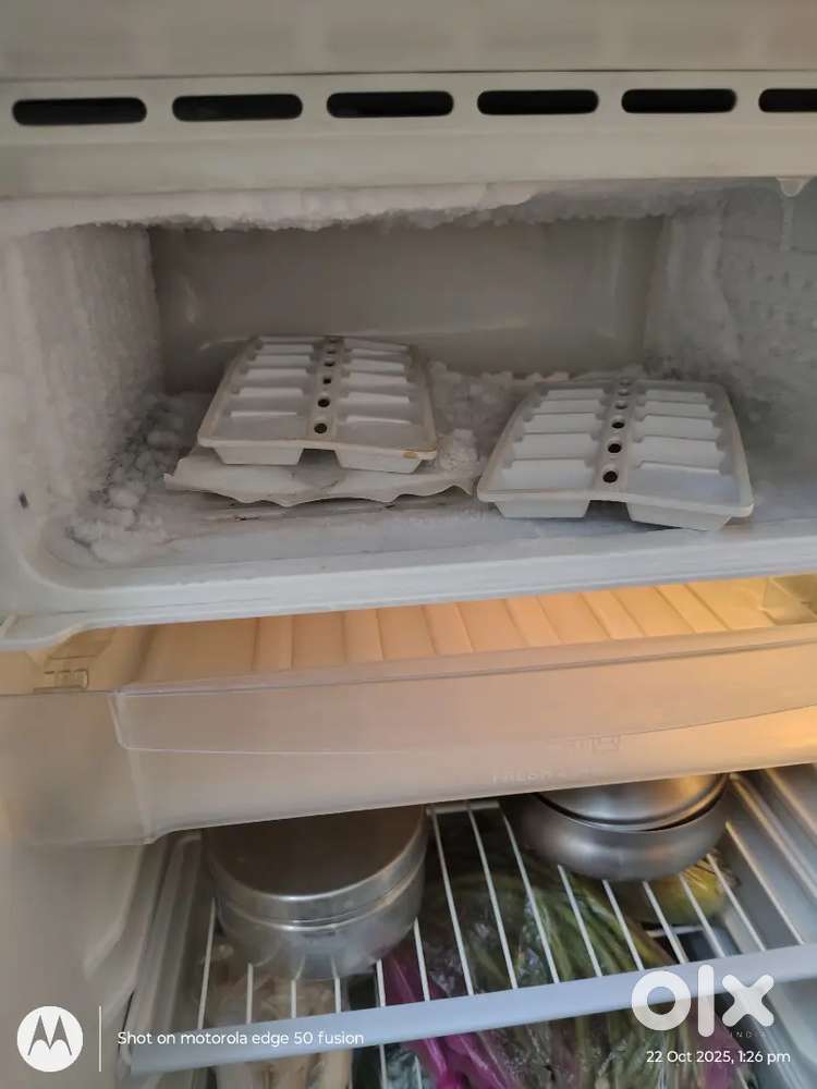 Fridge condition is very good