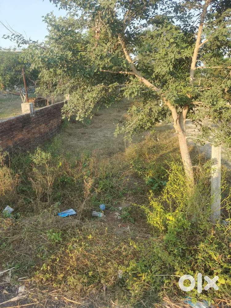 3 biswa ka plot hai 14 ×93 baruha pul se aage sarayya road par