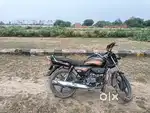 I I m rod sarora niyar