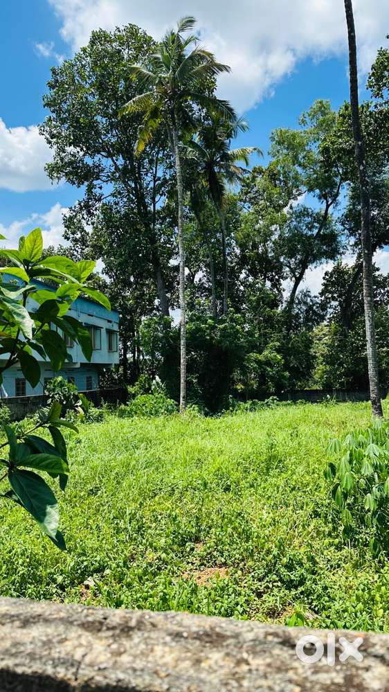 12 cent plot for sale at Manakala junction, Adoor