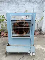 Nagpuri cooler bechna he