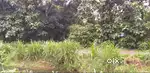 20 cent square plot for sale