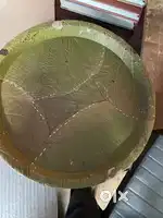 paper plates making