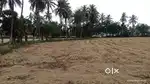 1 yakara agriculture land  Good property